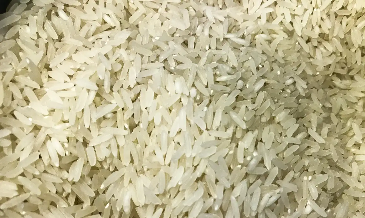 Ir para  <p><big>Tr&ecirc;s tipos de arroz deixar&atilde;o de pagar Imposto de Importa&ccedil;&atilde;o para entrar no pa&iacute;s. Em reuni&atilde;o extraordin&aacute;ria, o Comit&ecirc; Executivo de...