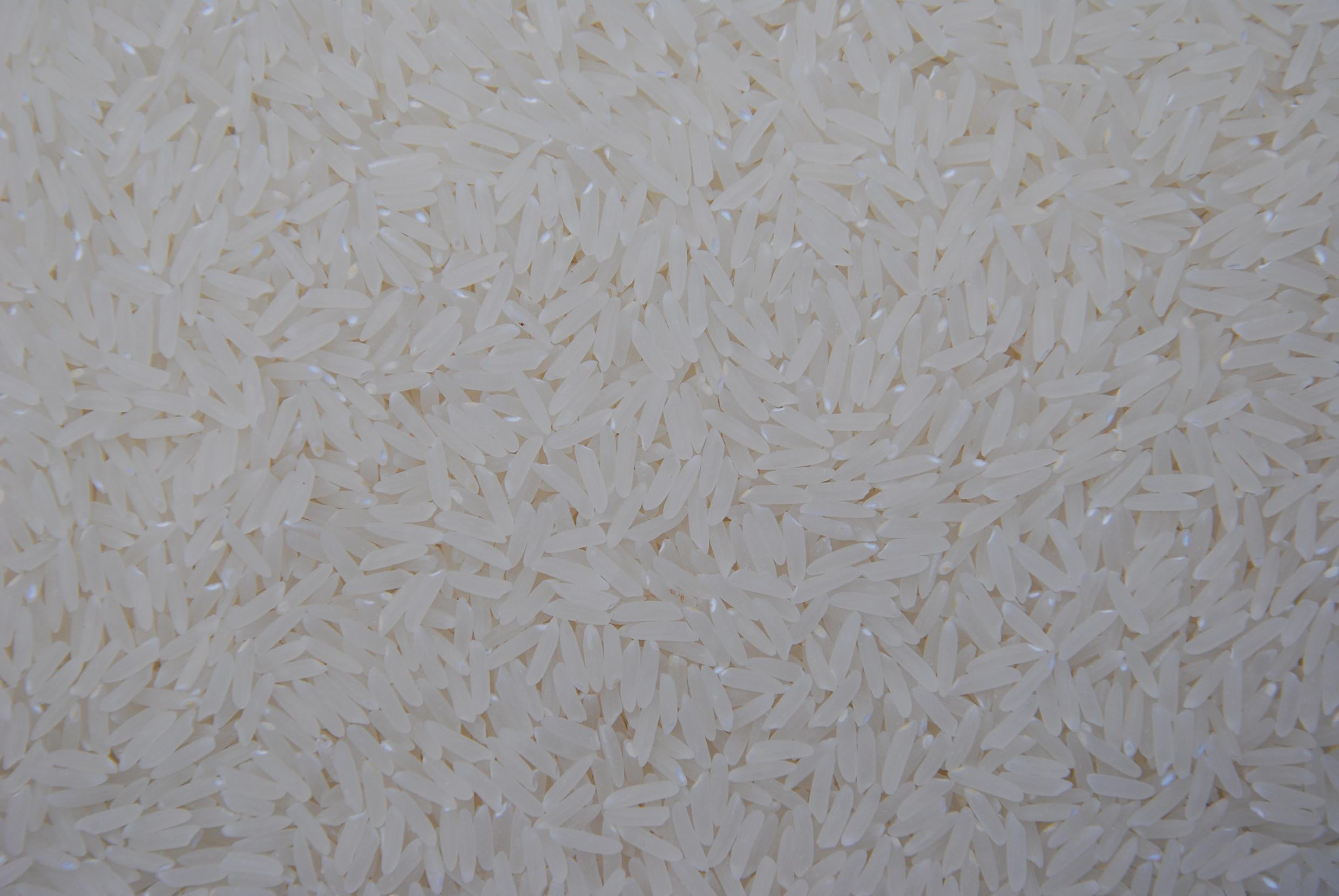 Ir para  <p><big>A Companhia Nacional de Abastecimento (Conab) poder&aacute; comprar at&eacute; 300 mil toneladas de arroz beneficiado importado. Portaria dos Minist&eacute;rios do Desenvolvimento Agr&aacute;rio e Agricultura...