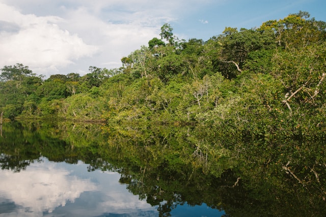 Ir para  <p><big>Os dados consolidados do Sum&aacute;rio para Tomadores de Decis&atilde;o do Relat&oacute;rio Tem&aacute;tico sobre Agricultura, Biodiversidade e Servi&ccedil;os Ecossist&ecirc;micos destacam a...