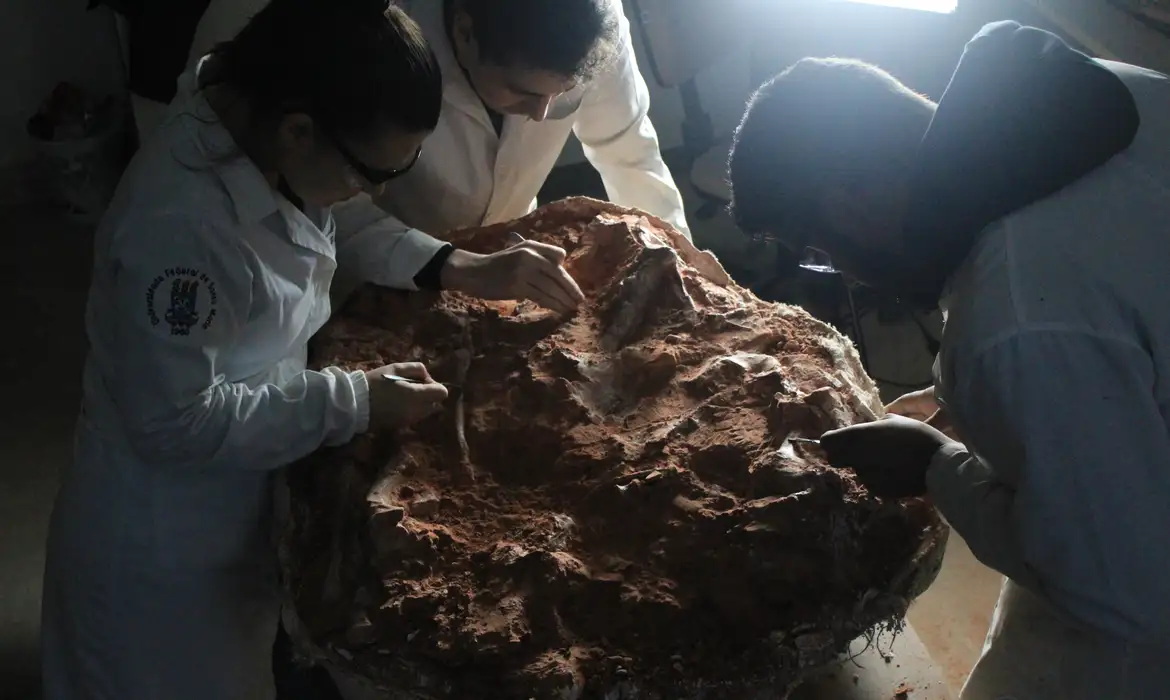 Ir para  <p><big>Pesquisadores do Centro de Apoio &agrave; Pesquisa Paleontol&oacute;gica da Quarta Col&ocirc;nia (Cappa) da Universidade Federal de Santa Maria (UFSM), no Rio Grande do Sul, fizeram uma importante descoberta para a...