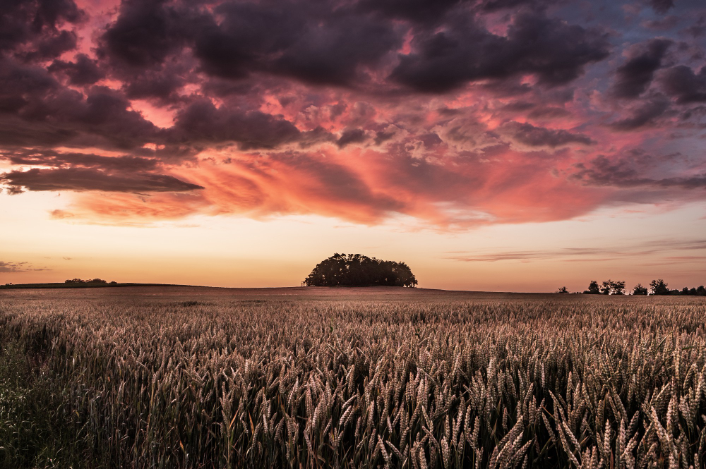 Ir para  <p><big>O Minist&eacute;rio da Agricultura e Pecu&aacute;ria (Mapa) liberou R$ 210 milh&otilde;es de recursos adicionais exclusivos para contrata&ccedil;&atilde;o de seguro rural no Rio Grande do Sul no 2&ordm;...