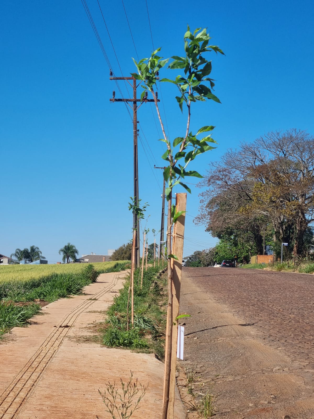 Ir para  <p><big>Neste m&ecirc;s de agosto, a RGE realiza o Programa Arboriza&ccedil;&atilde;o + Segura, em Marcelino Ramos e Viadutos. As a&ccedil;&otilde;es acontecem entre os dias 19 e 23 de agosto, com o plantio de 150...