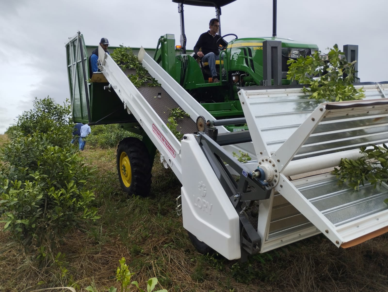 Ir para  <p>Foi demonstrado nesta ter&ccedil;a, 19, em Espumoso/RS, em Tarde de Campo na propriedade "Ervais do Futuro" do Sr. Ilo dos Santos, com a presen&ccedil;a de parcerias, t&eacute;cnicos e produtores rurais. A...